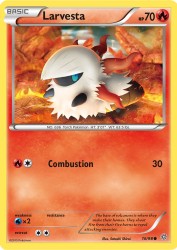 Larvesta 16/98<br/>Satoshi Shirai