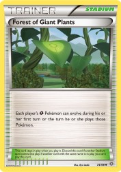 Forest of Giant Plants 74/98<br/>Ryo Ueda