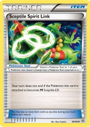 Sceptile Spirit Link 80/98<br/>5ban Graphics