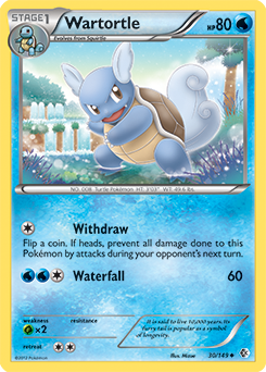 Wartortle 30/149<br/>Mizue