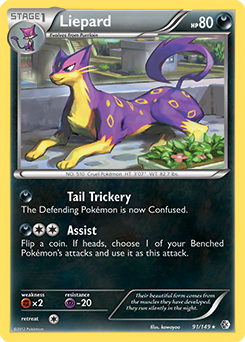 Liepard 91/149<br/>kawayoo
