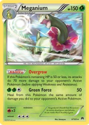 Meganium 3/122<br/>kawayoo
