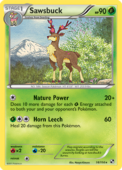 Sawsbuck 14/114<br/>Naoyo Kimura
