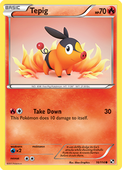 Tepig 16/114<br/>5ban Graphics