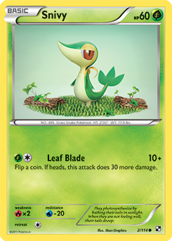 Snivy 2/114<br/>5ban Graphics