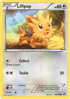 Lillipup 81/114<br/>sui