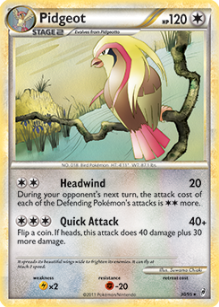 Pidgeot 30/95<br/>Suwama Chiaki