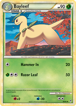 Bayleef 40/95<br/>Shin Nagasawa