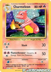 Charmeleon 002/034<br/>Mitsuhiro Arita