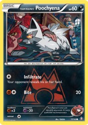 Team Magma's Poochyena 17/34<br/>TOKIYA