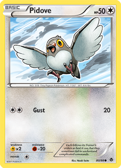 Pidove 80/98<br/>Naoki Saito