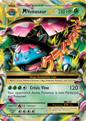 Mega Venusaur-EX 2/108<br/>5ban Graphics