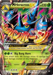 Mega Heracross-EX 5/111<br/>5ban Graphics