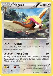 Pidgeot 77/106<br/>kawayoo