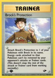 Brock's Protection 101/132<br/>Ken Sugimori