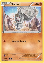 Machop 40/83<br/>Mina Nakai