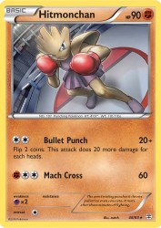 Hitmonchan 48/83<br/>match