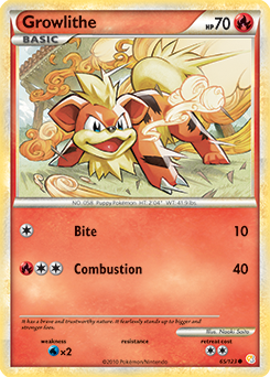 Growlithe 65/123<br/>Naoki Saito