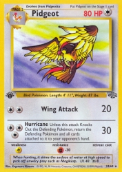 Pidgeot 24/64<br/>Kagemaru Himeno