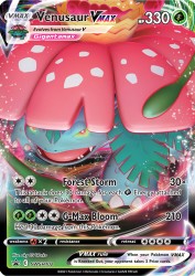 Venusaur-VMAX SWSH102<br/>aky CG Works