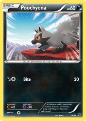 Poochyena 16/39<br/>Mizue