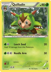 Quilladin 4/39<br/>5ban Graphics