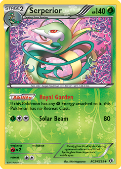 Serperior RC3/RC25<br/>Shin Nagasawa