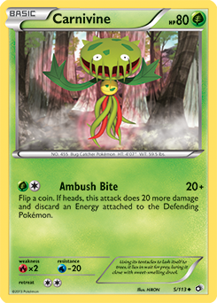Carnivine 5/113<br/>HiRON