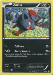 Zorua 11/12<br/>Shin Nagasawa