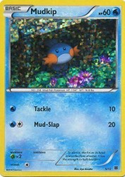 Mudkip 5/12<br/>Aya Kusube