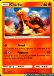 Torkoal 6/40<br/>sui