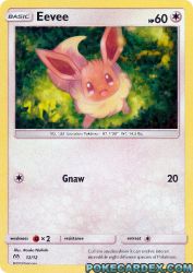 Eevee 12/12<br/>Atsuko Nishida