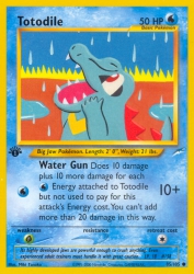 Totodile 85/105<br/>Miki Tanaka