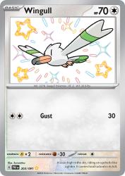 Wingull 203/91<br/>kurumitsu