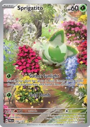 Sprigatito 196/193<br/>Kouki Saitou