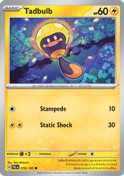 Tadbulb 78/193<br/>Tika Matsuno