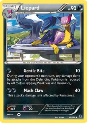 Liepard 57/119<br/>TOKIYA