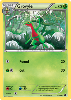 Grovyle 7/116<br/>Suwama Chiaki