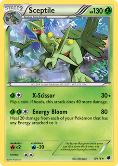Sceptile 8/116<br/>kawayoo