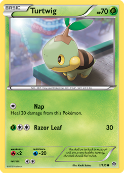 Turtwig 1/135<br/>Kouki Saitou