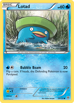 Lotad 29/135<br/>Midori Harada