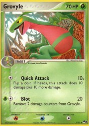 Grovyle 7/17<br/>Mitsuhiro Arita