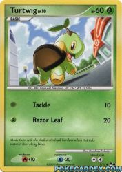 Turtwig 17/17<br/>Masakazu Fukuda
