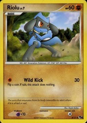 Riolu 8/17<br/>Kouki Saitou