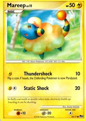 Mareep 14/17<br/>Atsuko Nishida