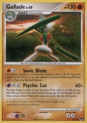 Gallade 2/17<br/>Daisuke Ito