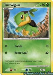 Turtwig 17/17<br/>Masakazu Fukuda