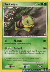 Turtwig 17/17<br/>Midori Harada