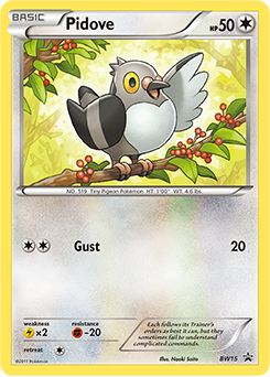 Pidove BW15<br/>Naoki Saito