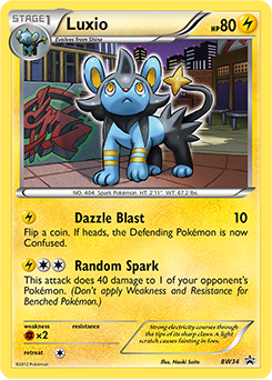 Luxio BW34<br/>Naoki Saito